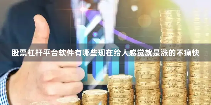 股票杠杆平台软件有哪些现在给人感觉就是涨的不痛快