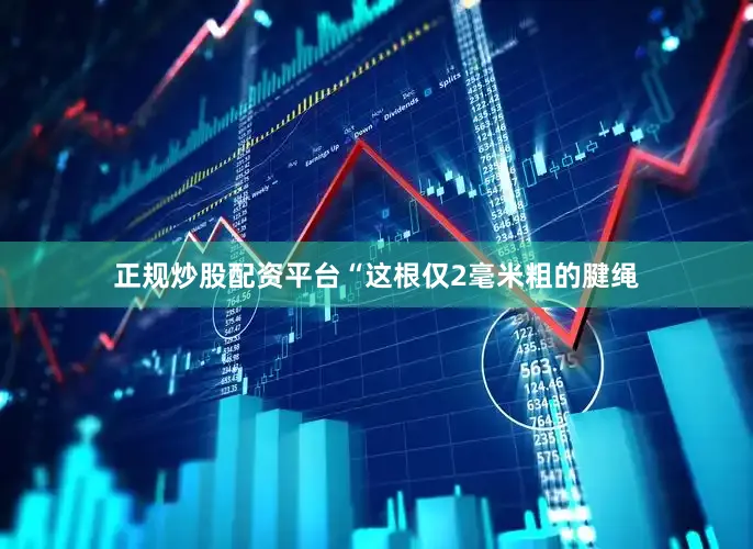 正规炒股配资平台“这根仅2毫米粗的腱绳