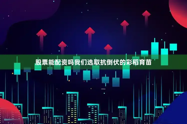 股票能配资吗我们选取抗倒伏的彩稻育苗