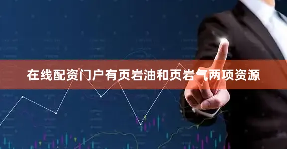 在线配资门户有页岩油和页岩气两项资源