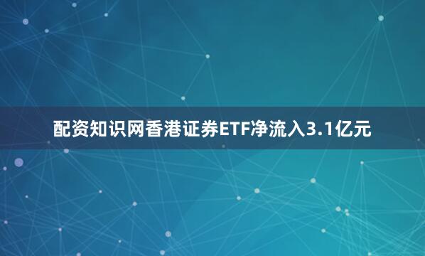 配资知识网香港证券ETF净流入3.1亿元