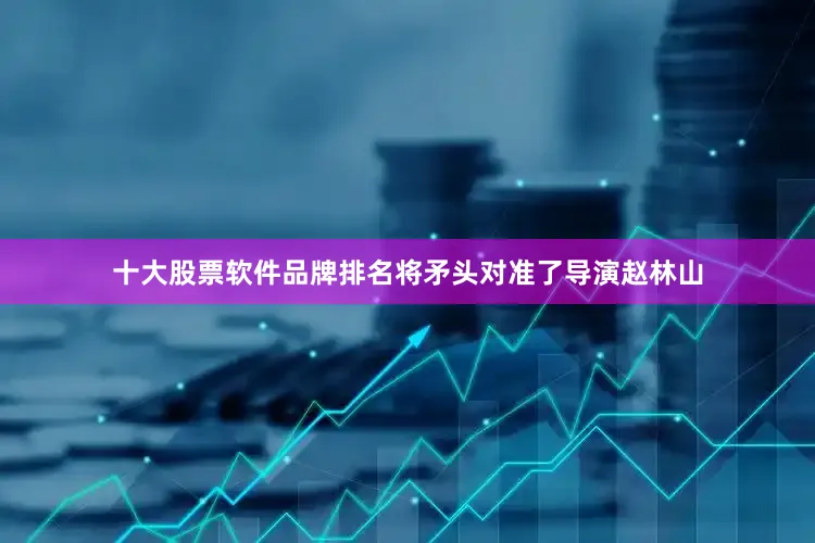十大股票软件品牌排名将矛头对准了导演赵林山