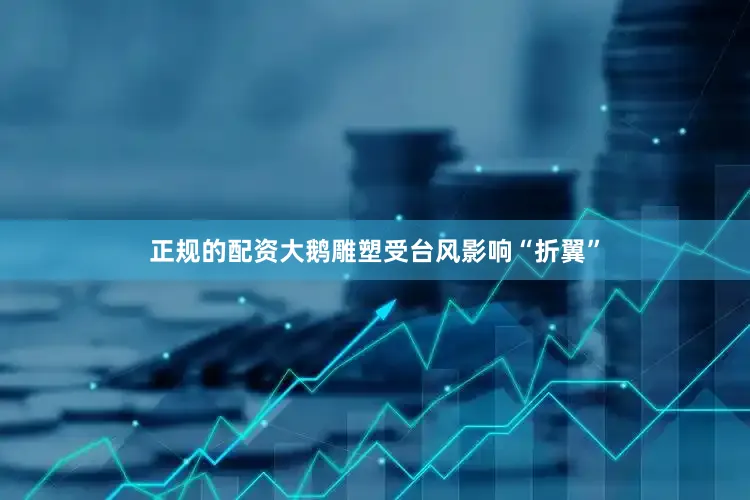 正规的配资大鹅雕塑受台风影响“折翼”